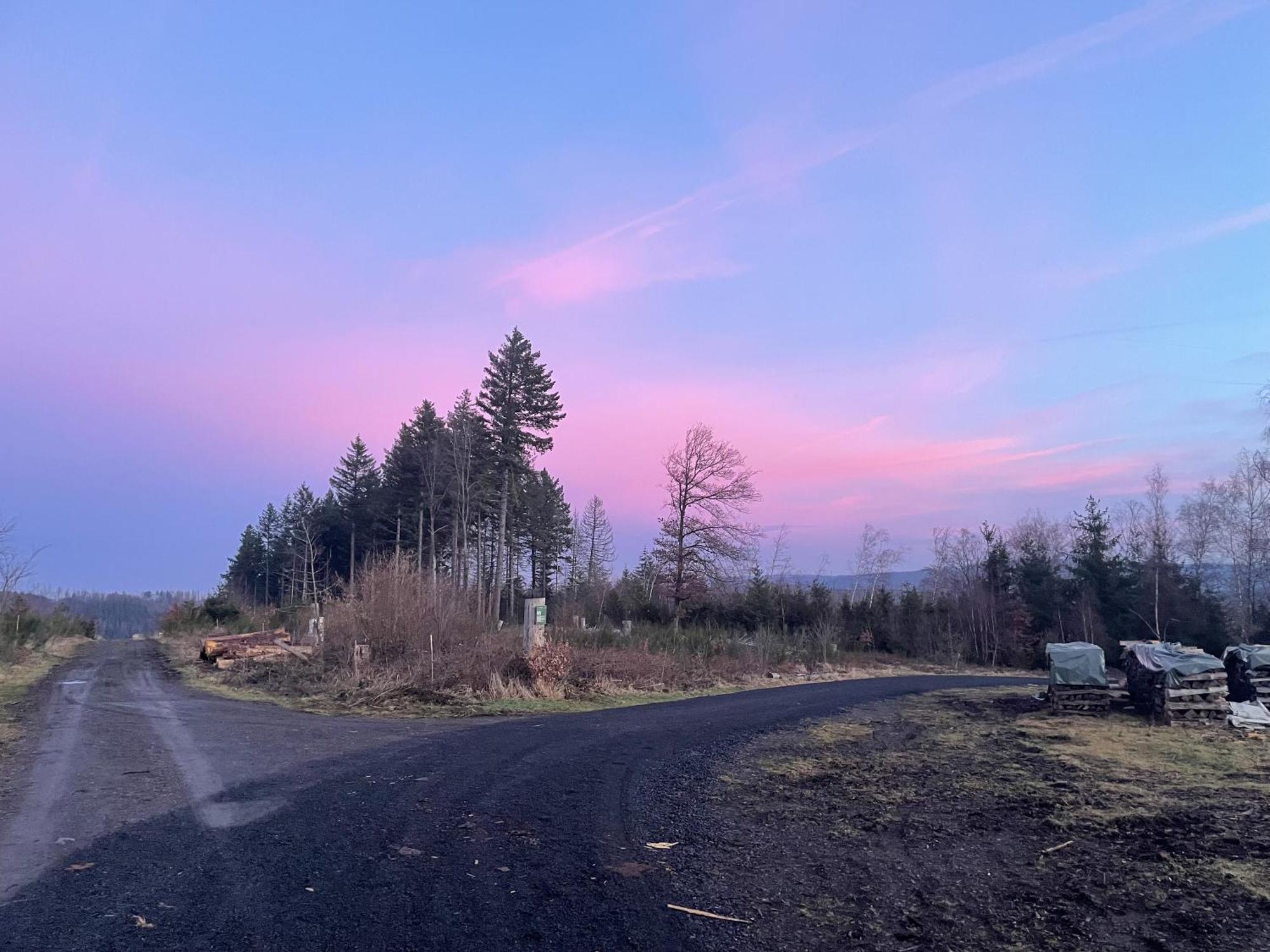 Gittas Paradiesperle Niederdreisbach Exteriér fotografie