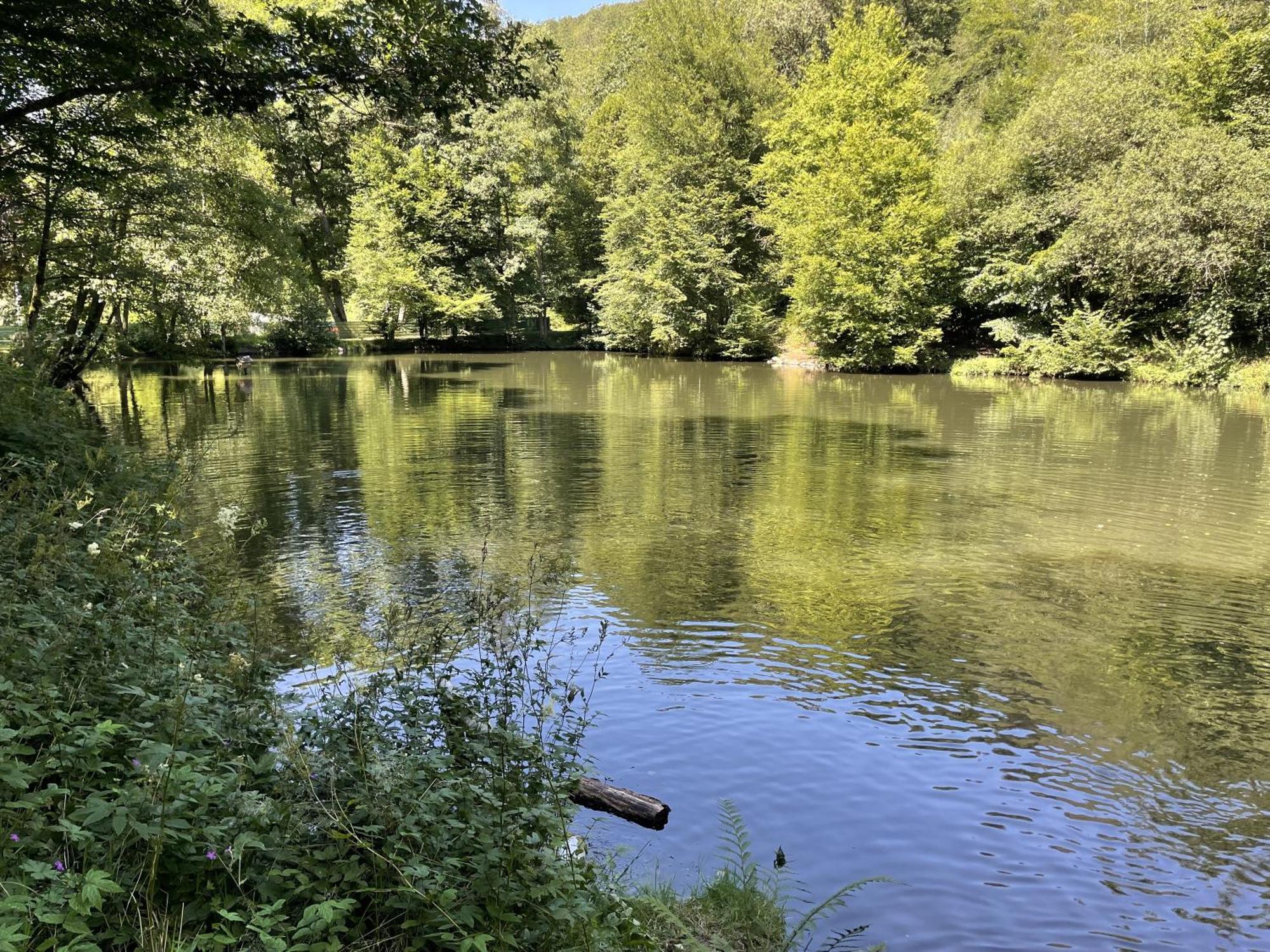 Gittas Paradiesperle Niederdreisbach Exteriér fotografie