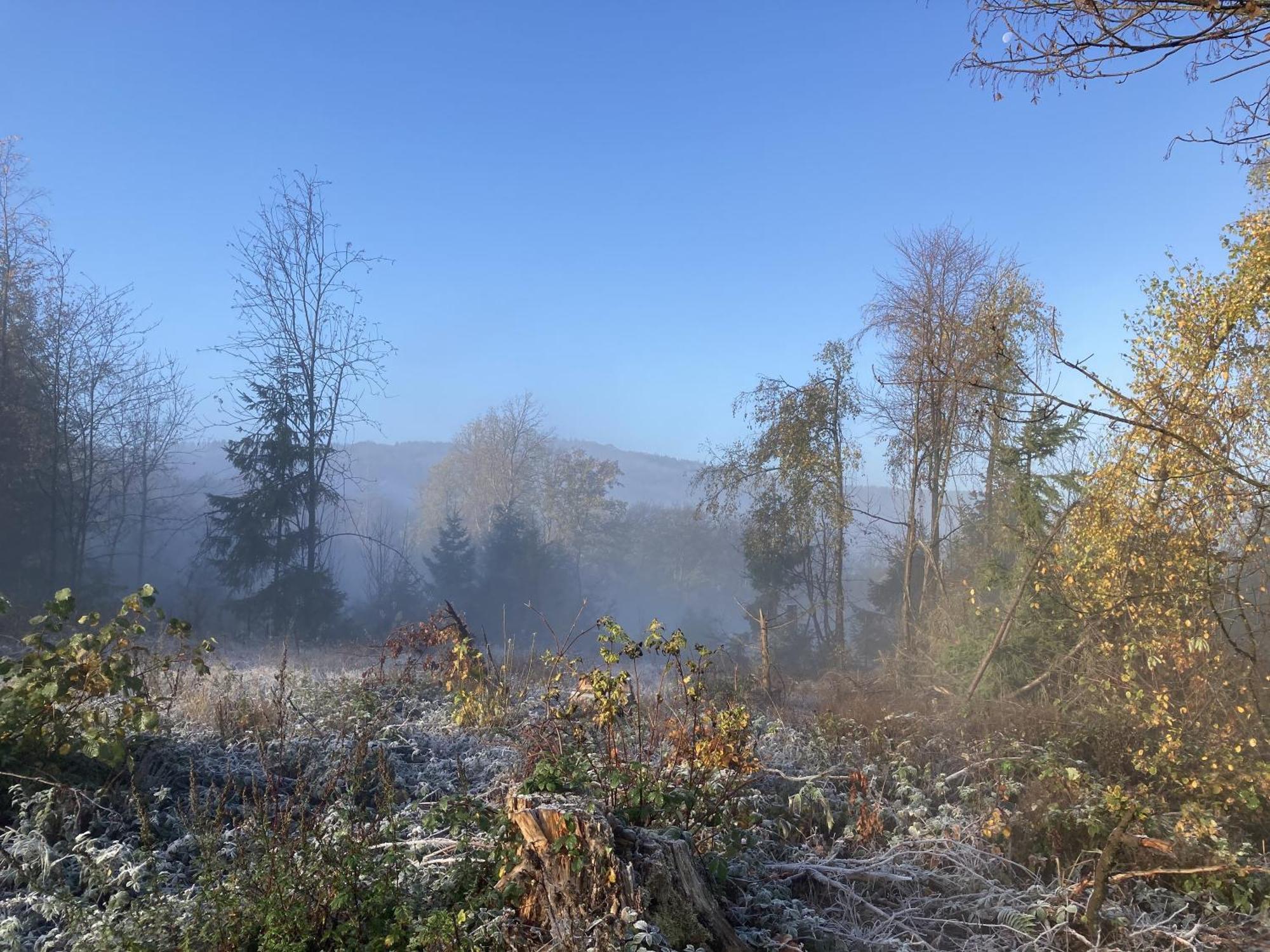 Gittas Paradiesperle Niederdreisbach Exteriér fotografie