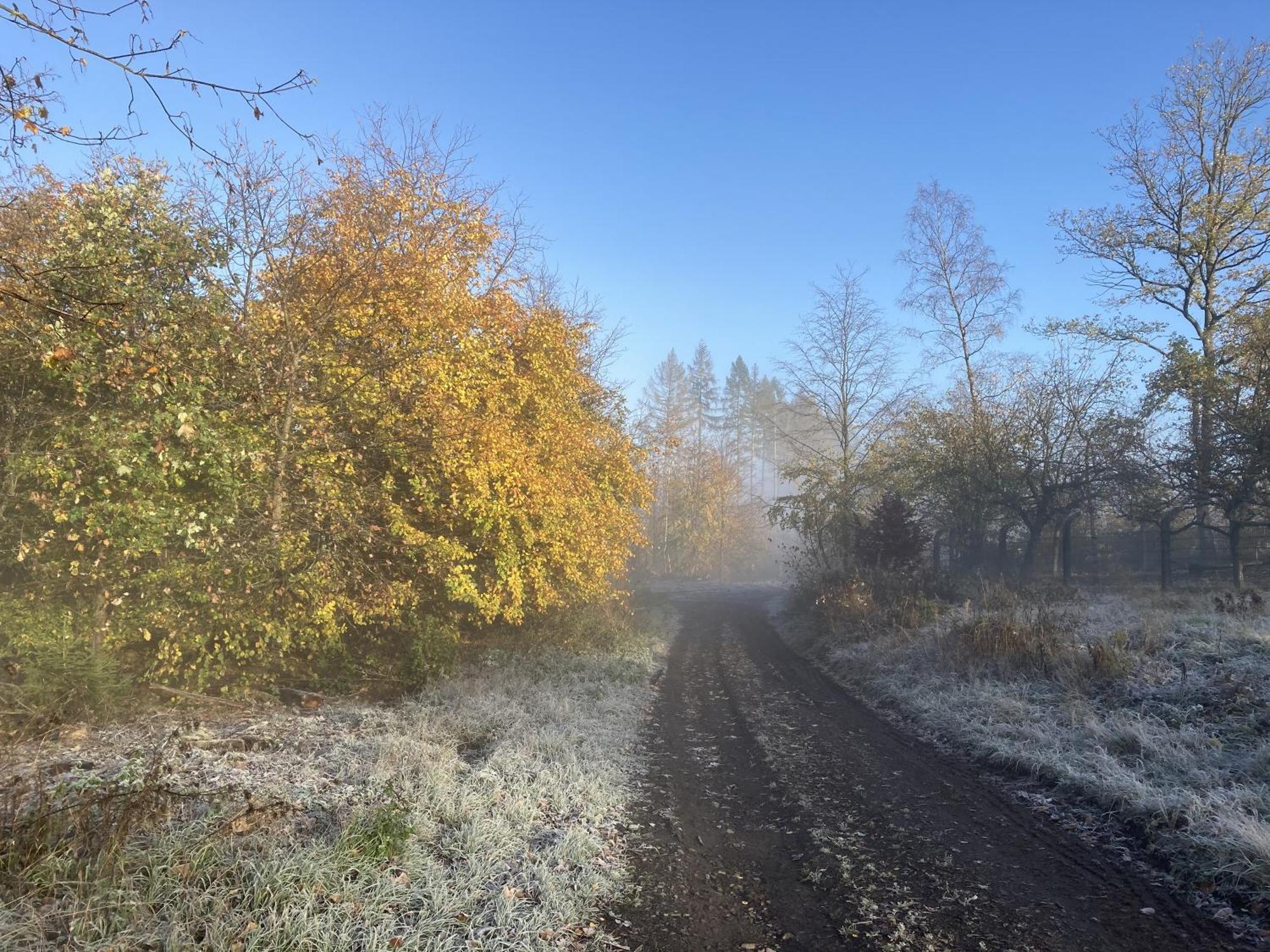 Gittas Paradiesperle Niederdreisbach Exteriér fotografie