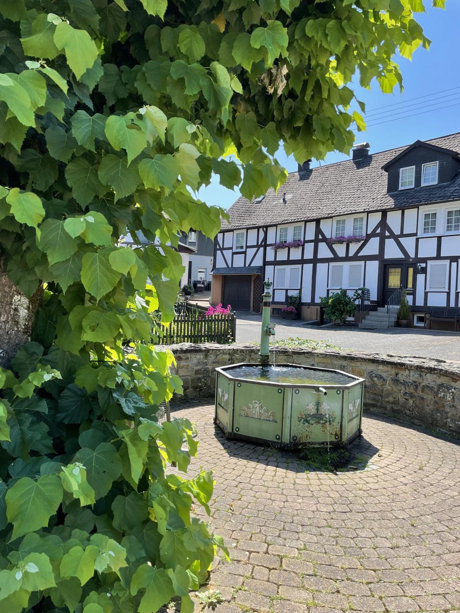Gittas Paradiesperle Niederdreisbach Exteriér fotografie
