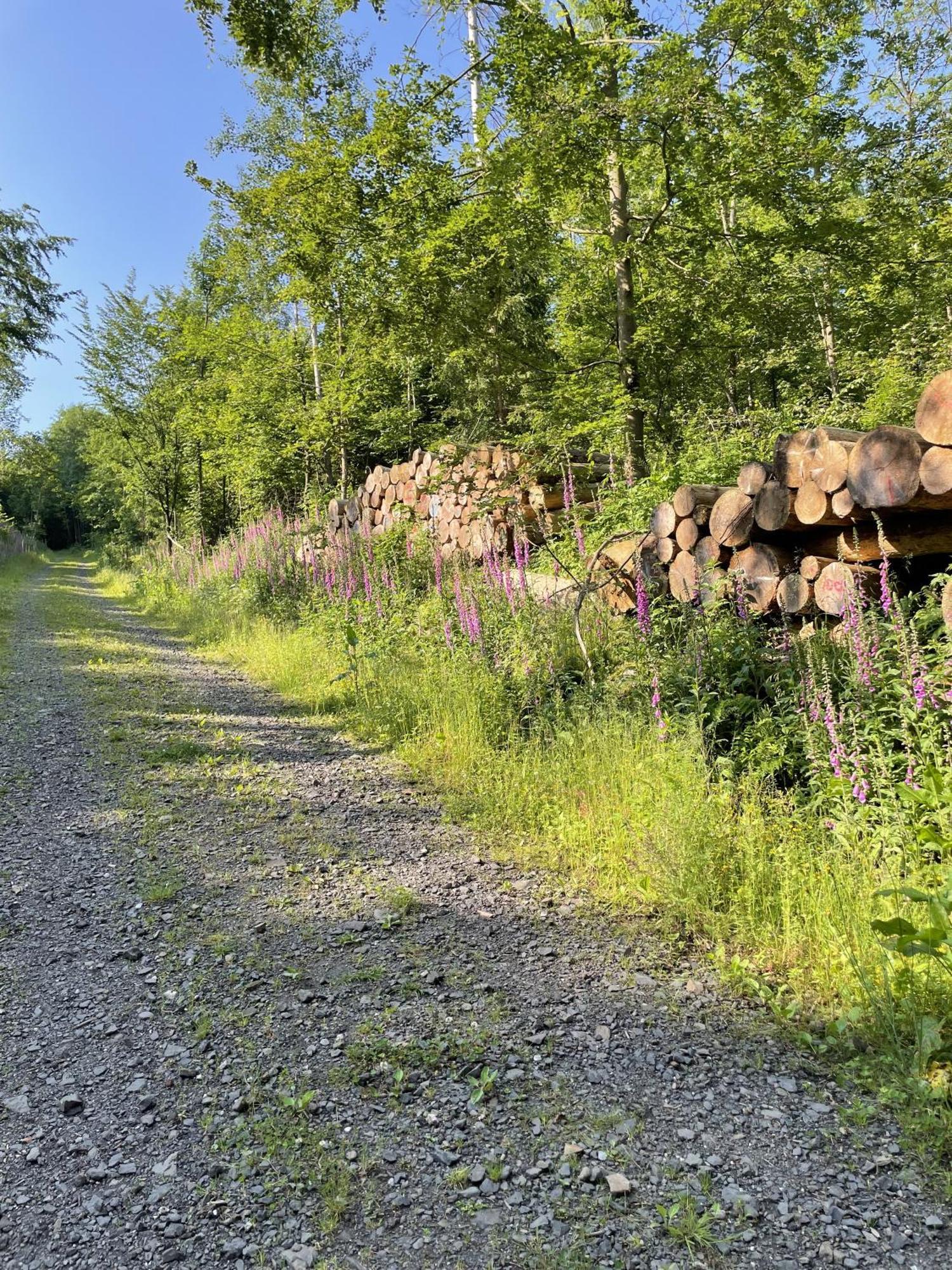 Gittas Paradiesperle Niederdreisbach Exteriér fotografie