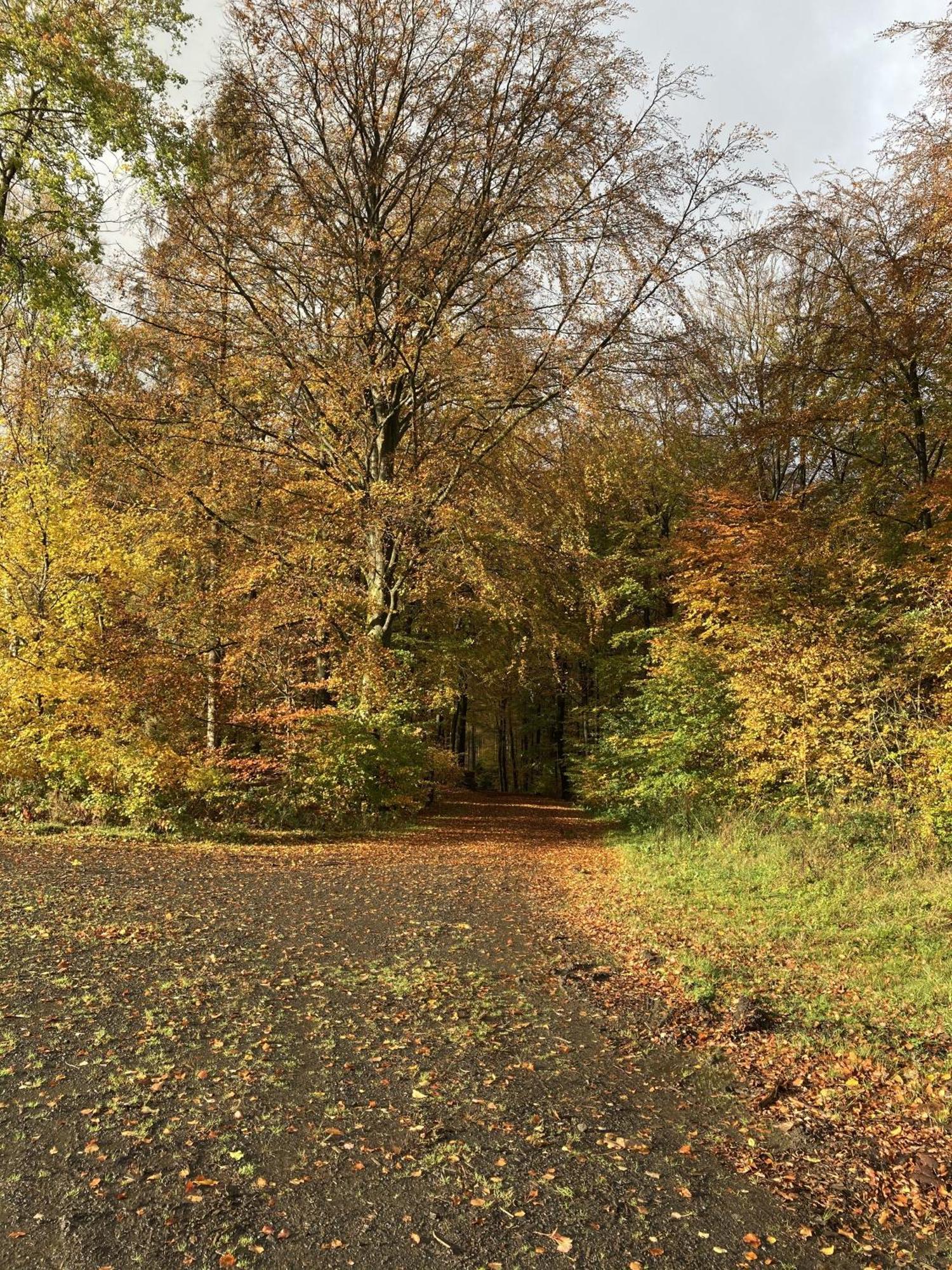 Gittas Paradiesperle Niederdreisbach Exteriér fotografie